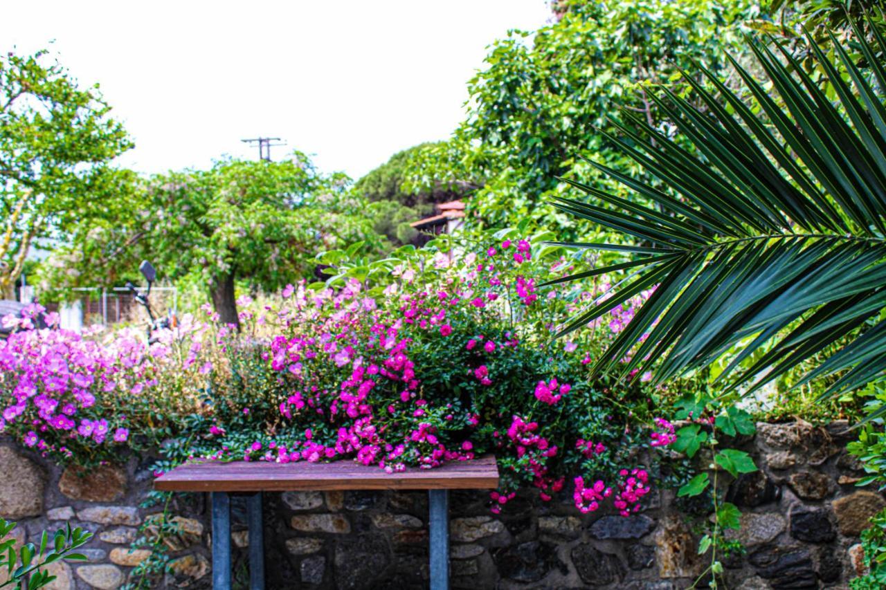 Theano Studios Paralia Sikias Esterno foto